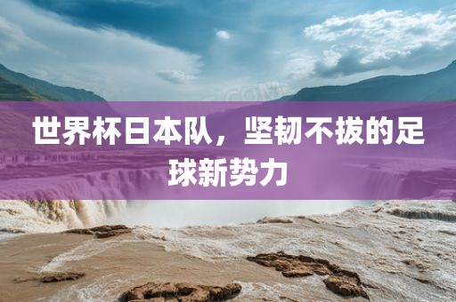 世界杯日本队，坚韧不拔的足球新势力
