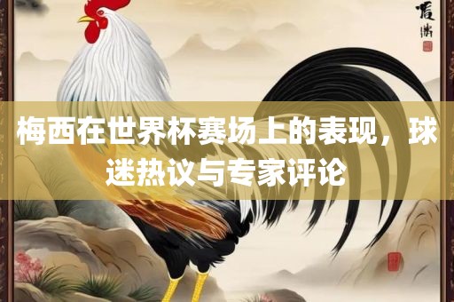 梅西在世界杯赛场上的表现，球迷热议与专家评论
