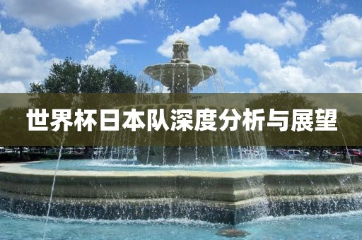 世界杯日本队深度分析与展望