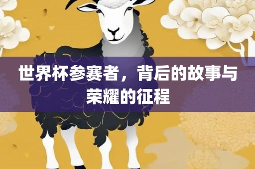 世界杯参赛者，背后的故事与荣耀的征程