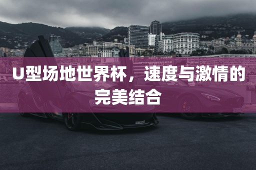 U型场地世界杯，速度与激情的完美结合
