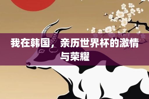 我在韩国，亲历世界杯的激情与荣耀