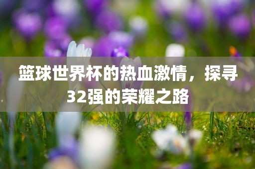 篮球世界杯的热血激情，探寻32强的荣耀之路