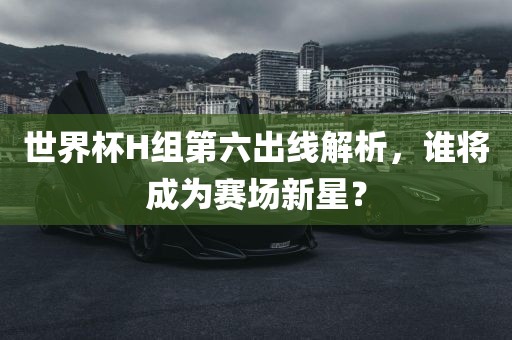 世界杯H组第六出线解析，谁将成为赛场新星？