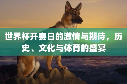 世界杯开赛日的激情与期待，历史、文化与体育的盛宴