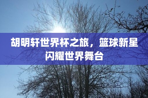 胡明轩世界杯之旅，篮球新星闪耀世界舞台