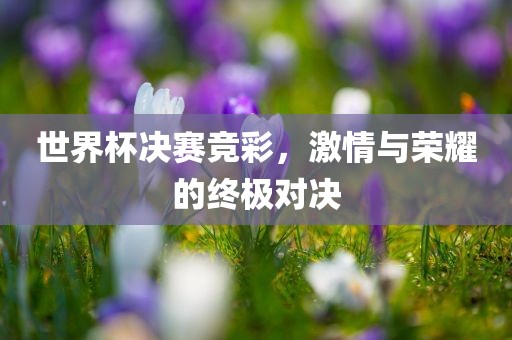 世界杯决赛竞彩，激情与荣耀的终极对决