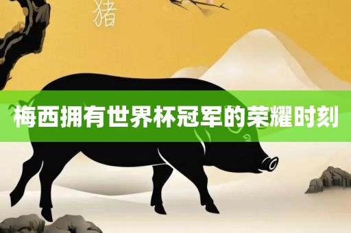 梅西拥有世界杯冠军的荣耀时刻