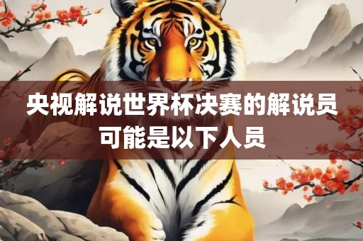 央视解说世界杯决赛的解说员可能是以下人员