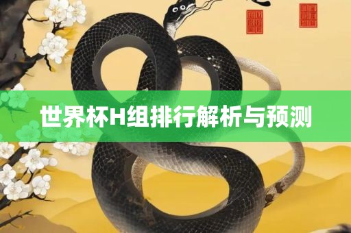 世界杯H组排行解析与预测