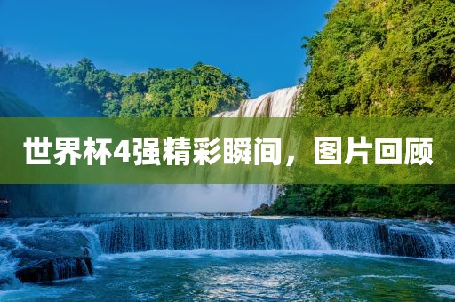 世界杯4强精彩瞬间，图片回顾