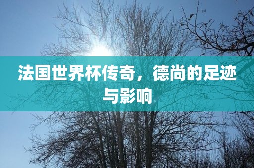 法国世界杯传奇，德尚的足迹与影响
