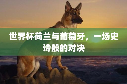世界杯荷兰与葡萄牙，一场史诗般的对决