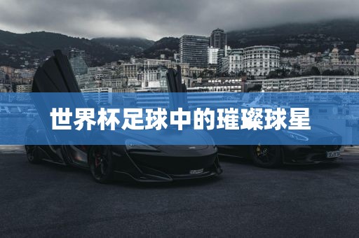 世界杯足球中的璀璨球星