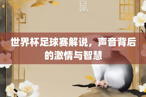 世界杯足球赛解说，声音背后的激情与智慧