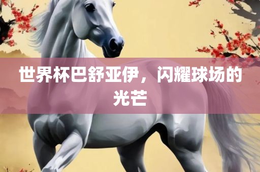 世界杯巴舒亚伊，闪耀球场的光芒