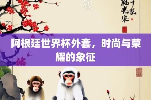 阿根廷世界杯外套，时尚与荣耀的象征