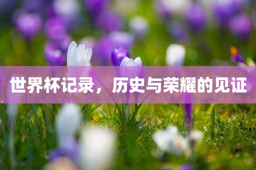 世界杯记录，历史与荣耀的见证吉安市靖泰电力工程有限公司