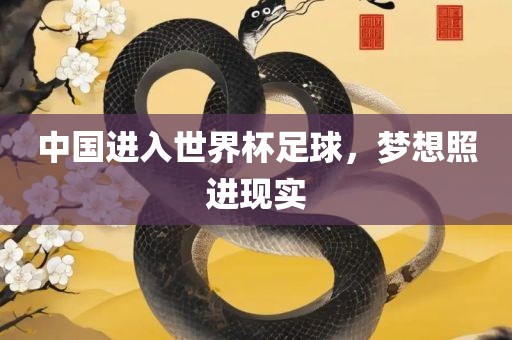 中国进入世界杯足球，梦想照进现实