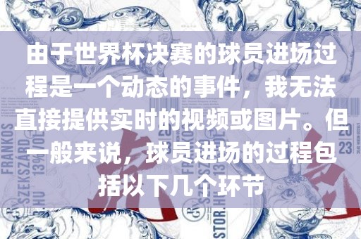 由于世界杯决赛的球员进场过程是一个动态的事件，我无法直接提供实时的视频或图片。但一般来说，球员进场的过程包括以下几个环节