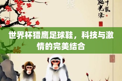 世界杯猎鹰足球鞋，科技与激情的完美结合