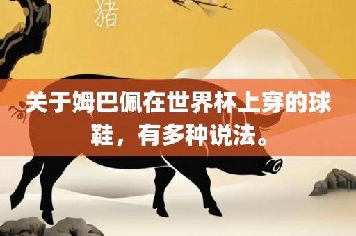 关于姆巴佩在世界杯上穿的球鞋，有多种说法。