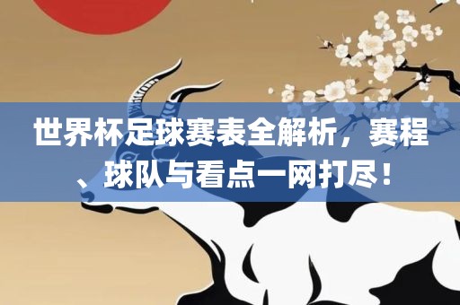 世界杯足球赛表全解析，赛程、球队与看点一网打尽！