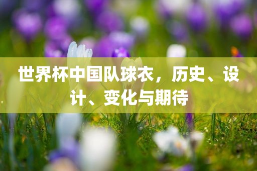 世界杯中国队球衣，历史、设计、变化与期待