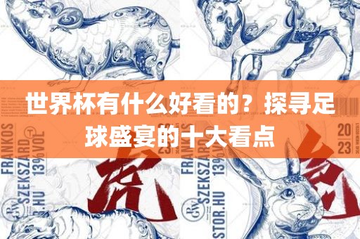 世界杯有什么好看的？探寻足球盛宴的十大看点