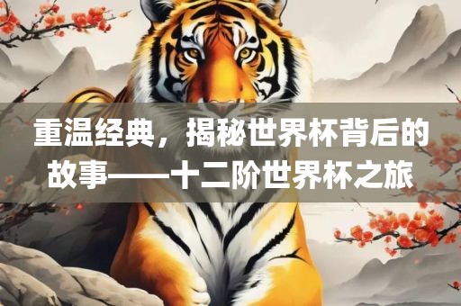 重温经典，揭秘世界杯背后的故事——十二阶世界杯之旅