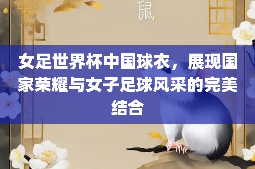 女足世界杯中国球衣，展现国家荣耀与女子足球风采的完美结合