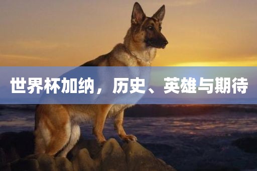 世界杯加纳，历史、英雄与期待吉安市靖泰电力工程有限公司