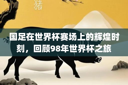 国足在世界杯赛场上的辉煌时刻，回顾98年世界杯之旅