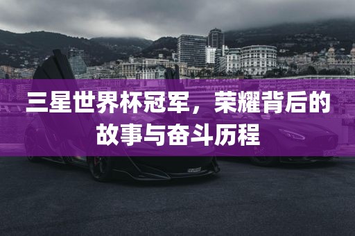 三星世界杯冠军，荣耀背后的故事与奋斗历程