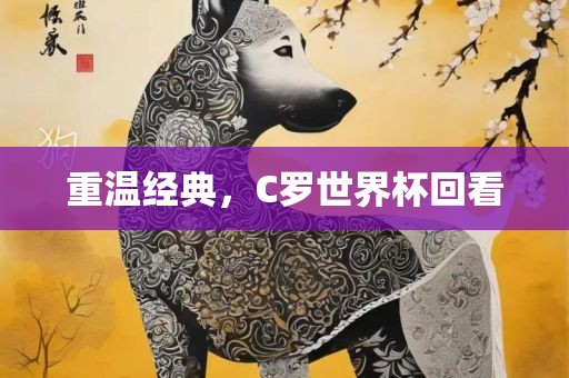重温经典，C罗世界杯回看