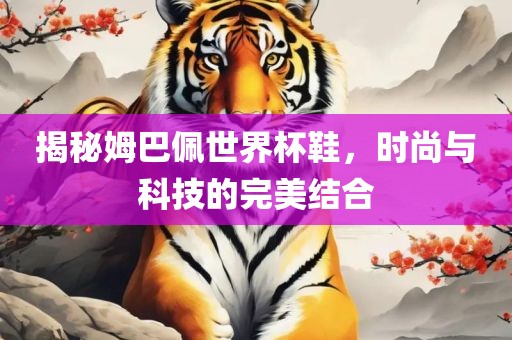 揭秘姆巴佩世界杯鞋，时尚与科技的完美结合