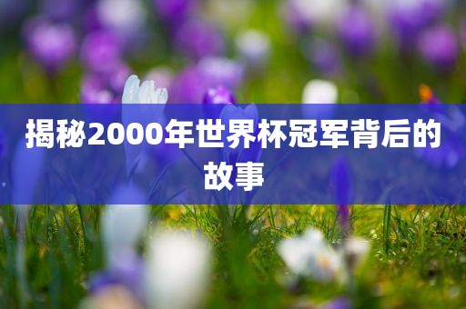 揭秘2000年世界杯冠军背后的故事