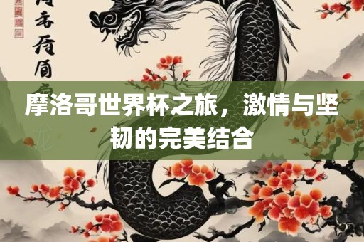 摩洛哥世界杯之旅，激情与坚韧的完美结合