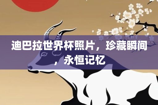 迪巴拉世界杯照片，珍藏瞬间，永恒记忆
