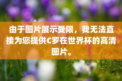 由于图片展示受限，我无法直接为您提供C罗在世界杯的高清图片。