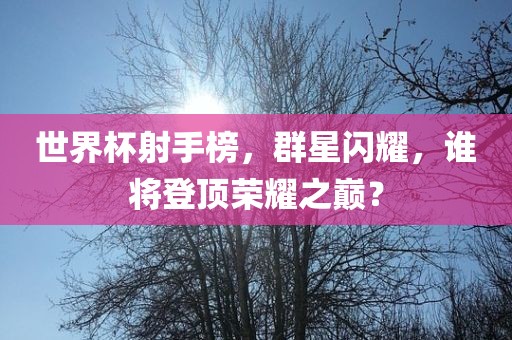 世界杯射手榜，群星闪耀，谁将登顶荣耀之巅？