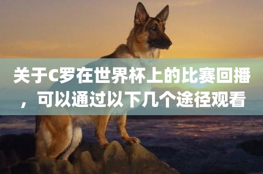 关于C罗在世界杯上的比赛回播，可以通过以下几个途径观看