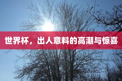 世界杯，出人意料的高潮与惊喜