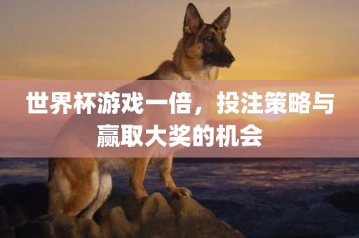 世界杯游戏一倍，投注策略与赢取大奖的机会