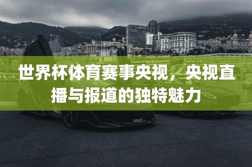 世界杯体育赛事央视，央视直播与报道的独特魅力