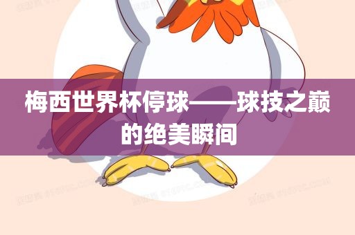 梅西世界杯停球——球技之巅的绝美瞬间