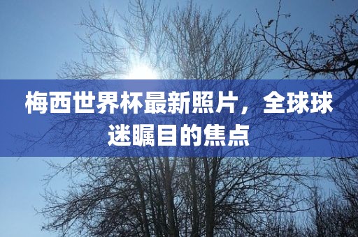梅西世界杯最新照片，全球球迷瞩目的焦点
