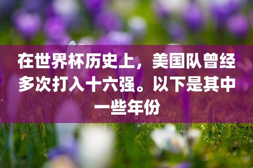 在世界杯历史上，美国队曾经多次打入十六强。以下是其中一些年份