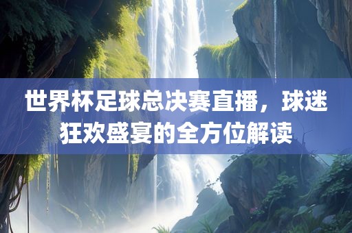 世界杯足球总决赛直播，球迷狂欢盛宴的全方位解读