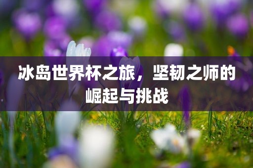 冰岛世界杯之旅，坚韧之师的崛起与挑战